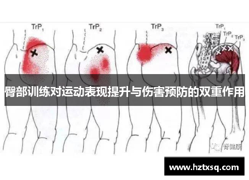 臀部训练对运动表现提升与伤害预防的双重作用